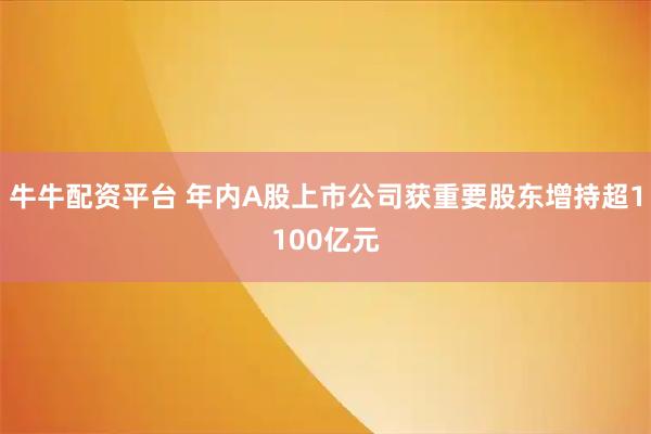 牛牛配资平台 年内A股上市公司获重要股东增持超1100亿元