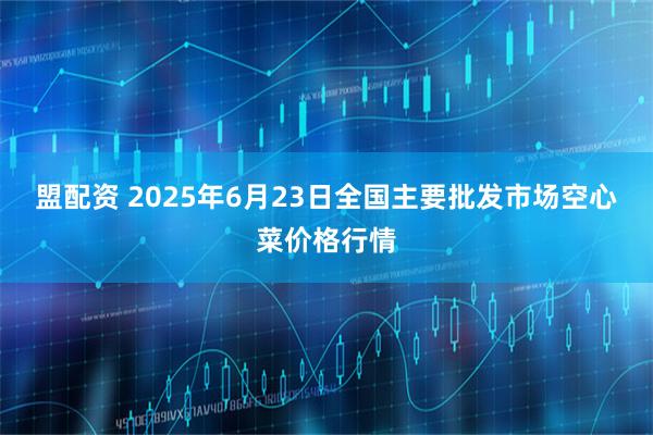 盟配资 2025年6月23日全国主要批发市场空心菜价格行情